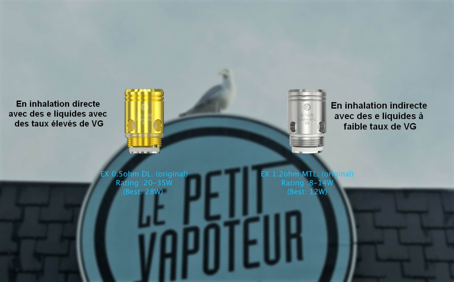 Kit Exceed D19 Blog Le Petit Vapoteur 2017